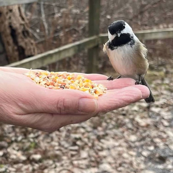 Meet your Posher, E🌸 - Picture 9 of 15